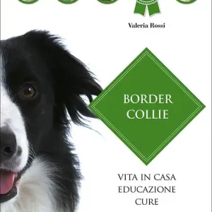 Border collie Professionale