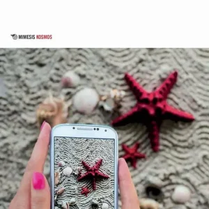 Abitare la terra al tempo di internet. Luoghi, comunicazione, vita umana Reso Gratuito