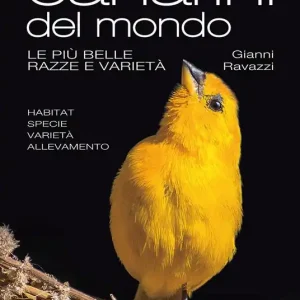 Canarini del mondo. Le più belle razze e varietà. Ediz. a colori Solo Oggi