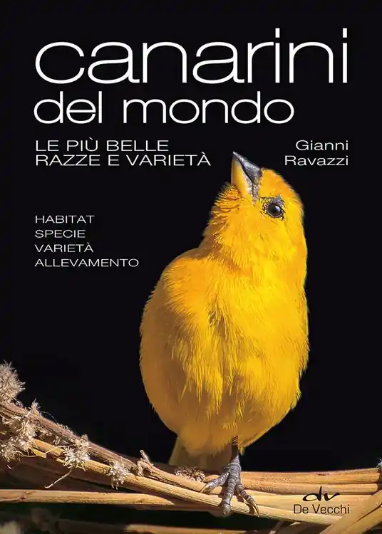 Canarini del mondo. Le più belle razze e varietà. Ediz. a colori Solo Oggi
