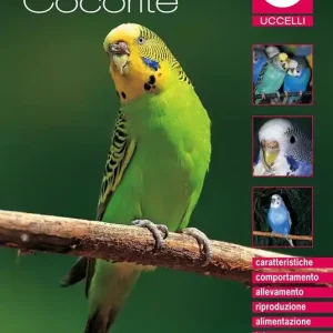 Le cocorite Compra Adesso