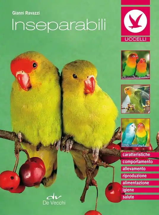 Gli inseparabili Super Prezzo