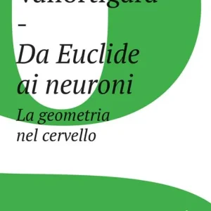 Da Euclide ai neuroni. La geometria nel cervello Pagamento Sicuro