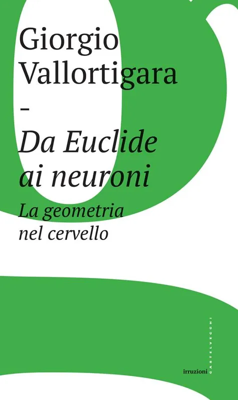 Da Euclide ai neuroni. La geometria nel cervello Pagamento Sicuro