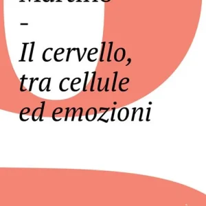 Ultimissimo Modello Il cervello, tra cellule ed emozioni
