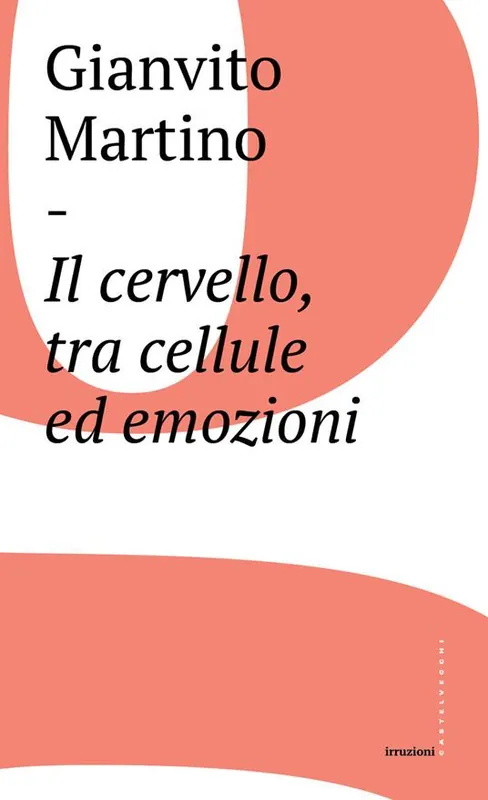 Ultimissimo Modello Il cervello, tra cellule ed emozioni
