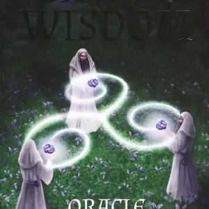 Earth wisdom oracle. Con 32 carte. Con Carte Prezzo Ridotto