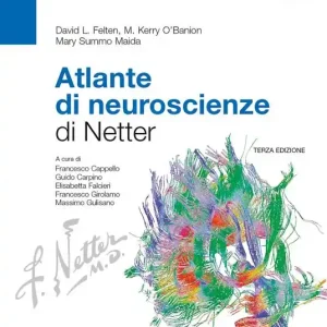Bestseller Atlante di neuroscienze di Netter