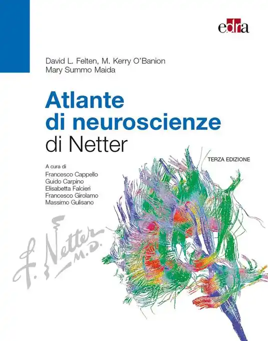 Bestseller Atlante di neuroscienze di Netter