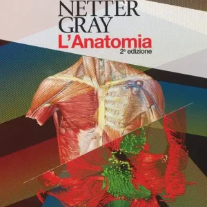 Ordina Subito Netter Gray. L‘anatomia. La chiarezza e il fascino dell‘anatomia Anatomia del Gray. Le basi anatomiche per la pratica clinica-Atlante di anatomia umana