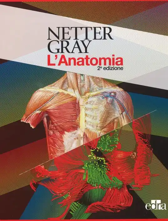 Ordina Subito Netter Gray. L‘anatomia. La chiarezza e il fascino dell‘anatomia Anatomia del Gray. Le basi anatomiche per la pratica clinica-Atlante di anatomia umana