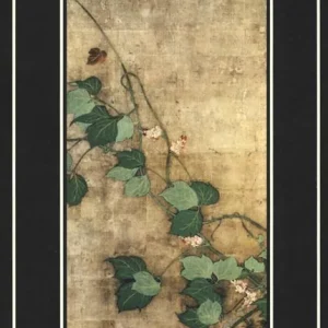 Yasenkanna. Trattato zen sulla salute Bestseller