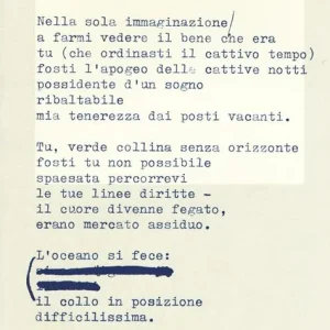 Amelia Rosselli biografia e poesia Prezzo Basso