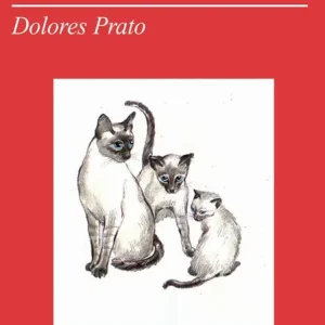 Gatto! Misterioso quanto il destino umano Soddisfatti O Rimborsati
