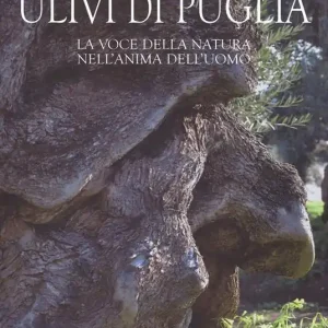 Nuovo Arrivo Ulivi di Puglia. La voce della natura nell‘anima dell‘uomo