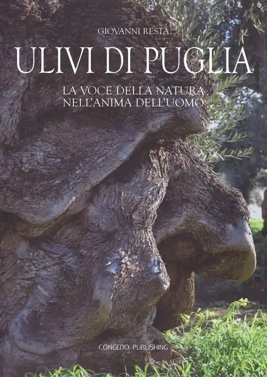 Nuovo Arrivo Ulivi di Puglia. La voce della natura nell‘anima dell‘uomo