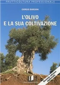 L‘olivo e la sua coltivazione Non Perdere
