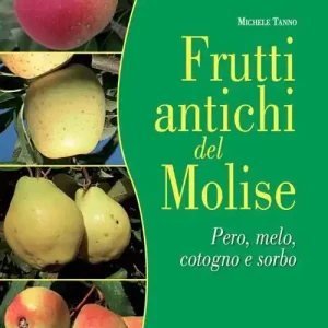 Frutti antichi del Molise. Pero, melo cotogno e sorbo. Sapori e valori da riscoprire Di Tendenza