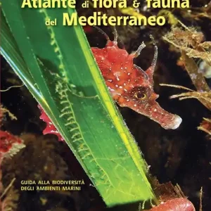 Ultime Pezzi Atlante di flora & fauna del Mediterraneo. Ediz. illustrata