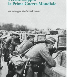 Perché scoppiò la prima guerra mondiale Spedito Oggi