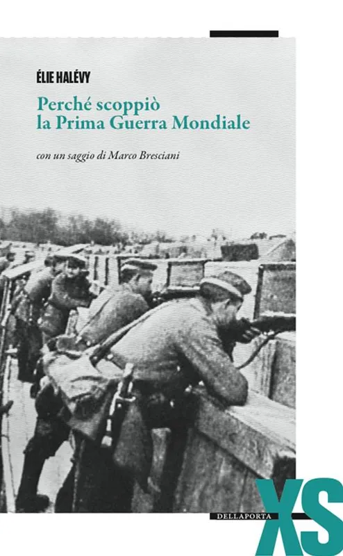 Perché scoppiò la prima guerra mondiale Spedito Oggi