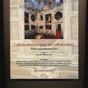 Collezionismo e spazi del collezionismo. Temi e sperimentazioni Di Tendenza