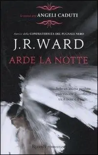 Arde la notte. Angeli caduti. Vol. 2 Professionale