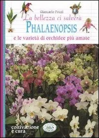 La bellezza ci salverà. Phalaenopsis e le varietà di orchidee più amate Solo Oggi