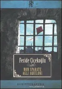 Non sparate agli aquiloni A Buon Prezzo