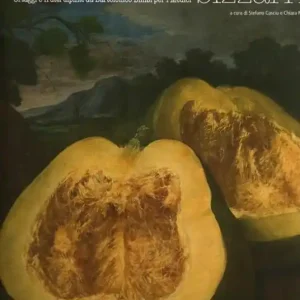 Pagamento Sicuro Stravaganti e bizzarri. Ortaggi e frutti dipinti da Bartolomeo Bimbi per i Medici. Catalogo della mostra (Poggio a Caiano, aprile-luglio 2008). Ediz. illustrata