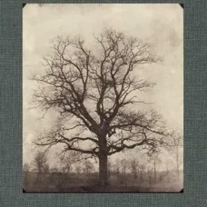 William Henry Fox Talbot. Ediz. inglese Di Tendenza