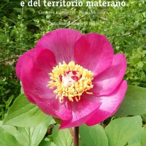 Guida alla flora del Parco e del territorio materano Vendita Finale