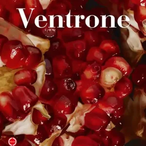 Offerta Speciale Luciano Ventrone. Il limite del vero. Dall‘astrattismo all‘astrazione. Ediz. italiana e inglese