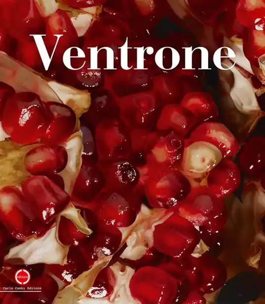Offerta Speciale Luciano Ventrone. Il limite del vero. Dall‘astrattismo all‘astrazione. Ediz. italiana e inglese