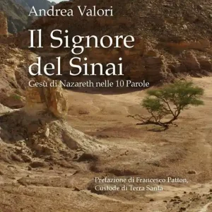 Il Signore del Sinai. Gesù di Nazareth nelle 10 Parole Prezzo Basso