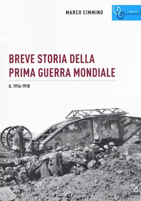 Breve storia della prima guerra mondiale. Vol. 2 1916-1918 Occasione