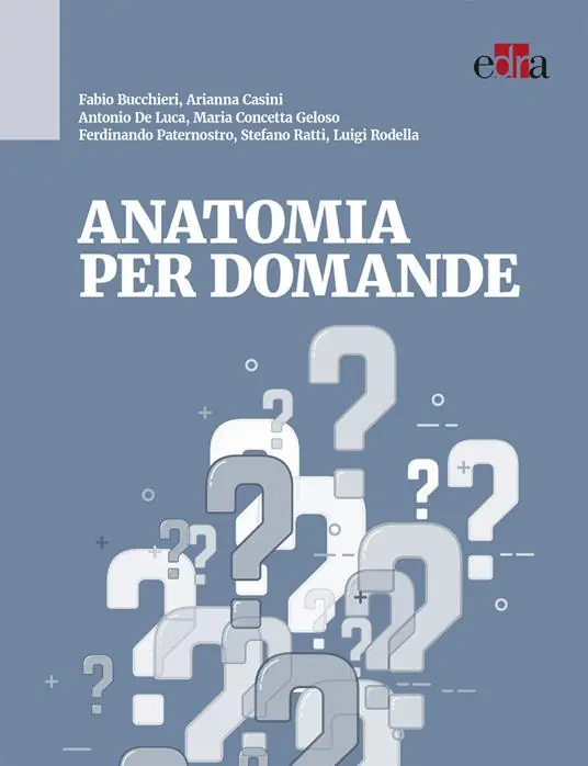 Saldi Anatomia per domande