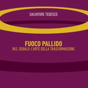 Prezzo Conveniente Fuoco pallido. W.G. Sebald l‘arte della trasformazione