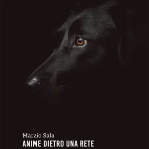 Saldi Anime dietro una rete. Il canile dal punto di vista del cane