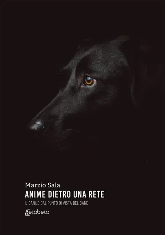 Saldi Anime dietro una rete. Il canile dal punto di vista del cane