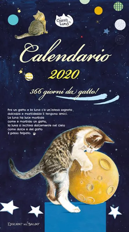 Il gatto e la luna. Calendario medio 2020 Prezzo Conveniente