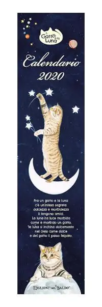 Occasione Imperdibile Il gatto e la luna. Calendario mini 2020