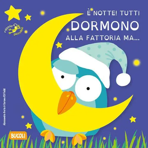 È notte! Tutti dormono alla fattoria ma.... Ediz. illustrata Offerta Lampo