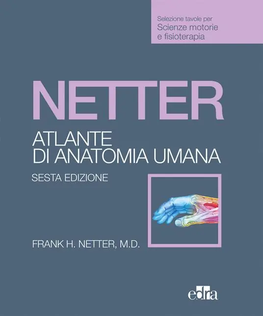 Netter. Atlante anatomia umana. Scienze motorie e fisioterapia Saldi