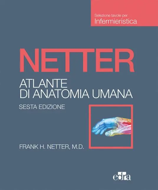 Scelto Dai Clienti Netter. Atlante di anatomia umana. Scienze infermieristiche