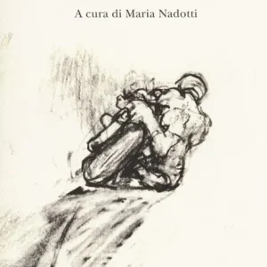 Spedito Oggi Sulla motocicletta