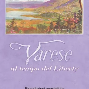 Varese al tempo del liberty. Riproduzioni anastatiche tratte dalle Guide di Varese 1912 e 1914. Ediz. a colori Scelto Dai Clienti
