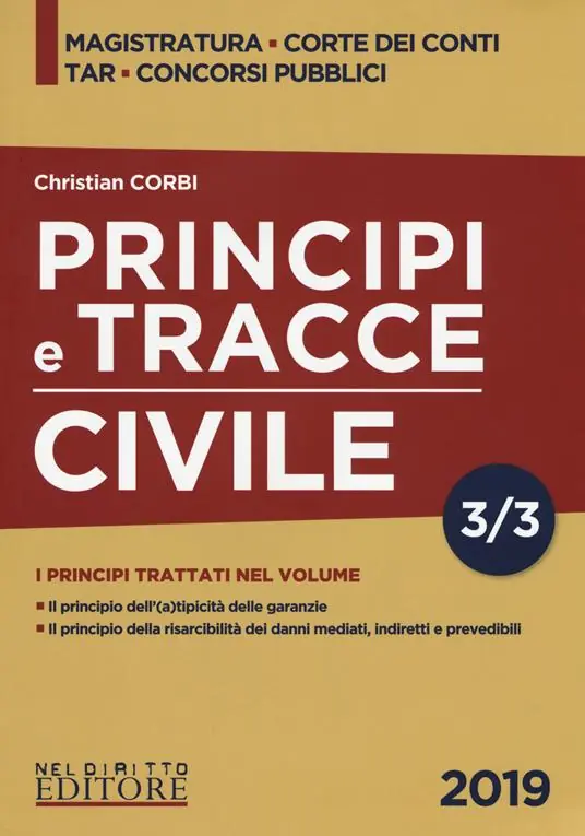 Principi e tracce. Civile. Vol. 3 Spedito Oggi