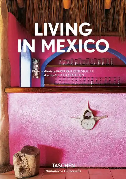 Living in Mexico. Ediz. italiana, spagnola e portoghese Occasione Imperdibile
