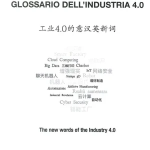 Glossario dell‘industria 4.0. Ediz. italiana cinese e inglese Prezzo Ridotto